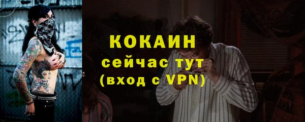 шишки Михайлов