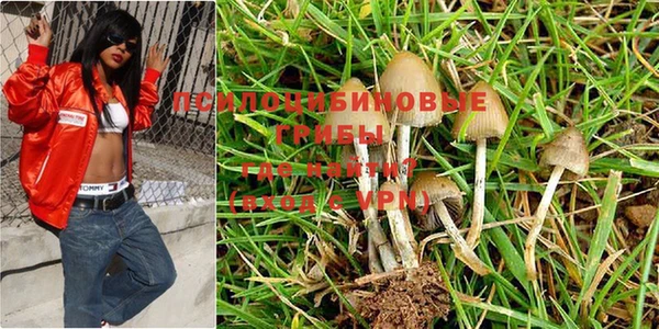 шишки Михайлов