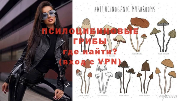 шишки Михайлов