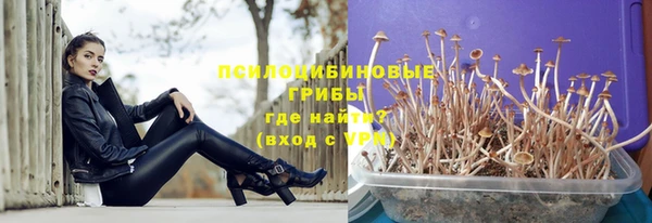 jwh Верея