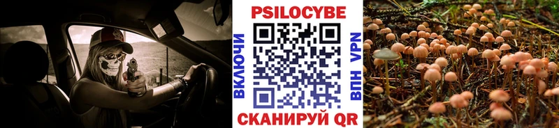 Галлюциногенные грибы MAGIC MUSHROOMS  хочу   Хасавюрт 